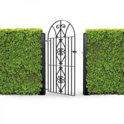 Windsor Bow Top Metal Gate