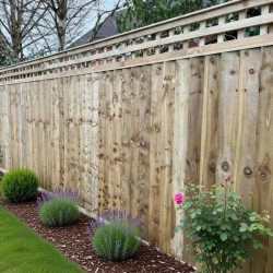 Trellis top closed board fence