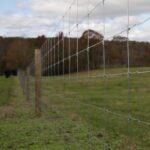 Live Stock Wire Fencing